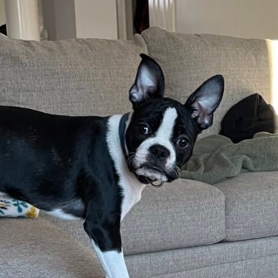 smaggs_maggs's profile picture. 