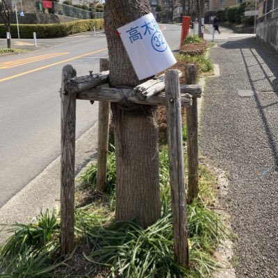 殺人的な猛暑や豪雨が日本中で起こるようになりました。特に都市部の樹木の、日陰作りという役割はますます重要度を増しています。日陰は簡単に作れないため伐採は極力避ける事が望ましいと考えます。樹木を上手く活用して都市や人を守るという視点が必要です。反して各地で起こる再開発や伐採問題について神宮外苑を中心にツイートします。