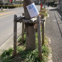 Protection.tree (@treeprotection1) 's Twitter Profile Photo Protection.tree (@treeprotection1) 's Twitter Profile Photo
