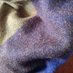 Identité Authentifiée (@dalibor_liam) Twitter profile photo Identité Authentifiée (@dalibor_liam) Twitter profile photo