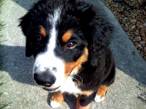 MP_McLean's profile picture. 