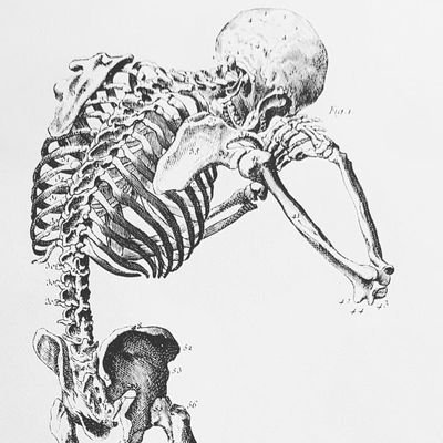 haringbisexual's profile picture. nor (they/them, er/sie) • 30, crazy cripple commie, trans bisexual, tme, white • bad jokes, horror movies, politics, disability, cats, and lots of complaining