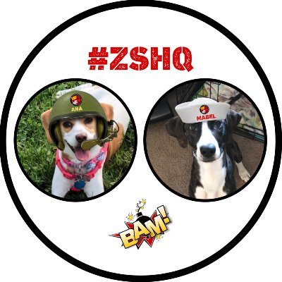 We are Ana and Mabel. We took over mommys twitts, pww be nice to us. Ana bday Feb 9. Mabel bday June 6. A proud member of the #BeagleBugClub and #ZSHQ.