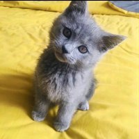 Notoken (@victorjon18) 's Twitter Profile