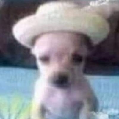 C_R0xx's profile picture. Intento de animador de FNF