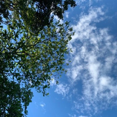 Iamleeleo's profile picture. 