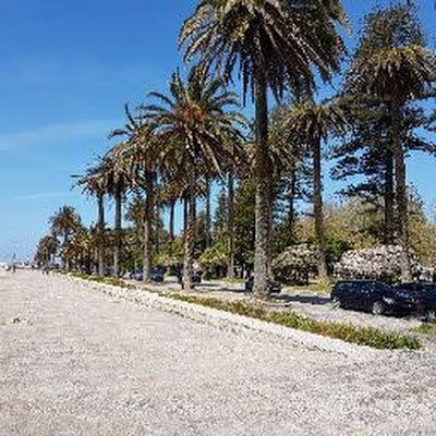 Joanna13661361's profile picture. Back to home Porto :)