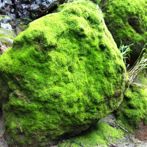 jiciskw's profile picture. 成年 男子