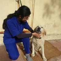 Vinita Rajpurohit (@vinitarajpuro16) 's Twitter Profile Photo Vinita Rajpurohit (@vinitarajpuro16) 's Twitter Profile Photo