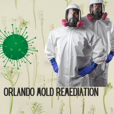 We offer mold Remediation inspection, mold testing, and mold remediation services for a complete mold solution for your home or business in Orlando.