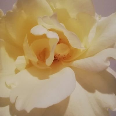 OqnsxefetN4vtGm's profile picture. 世の中の面白い話。人間の進化と目覚め。