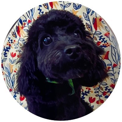 O_Take_shi's profile picture. 株式会社truestar所属。
猫好き犬飼いデータエンジニアです。
実は猫派だけど、家族は特別🐶♡