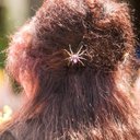 Dawn Roach - @DawnRoa65921123 - Twitter