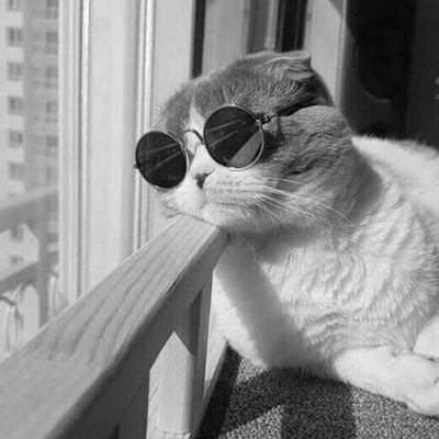 Hossein_pq's profile picture. 