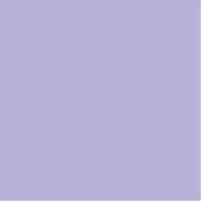 🎨💤🎯紫月(しづき)🌸🍭さんのプロフィール画像