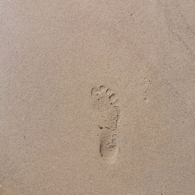 svileniuragan's profile picture. 