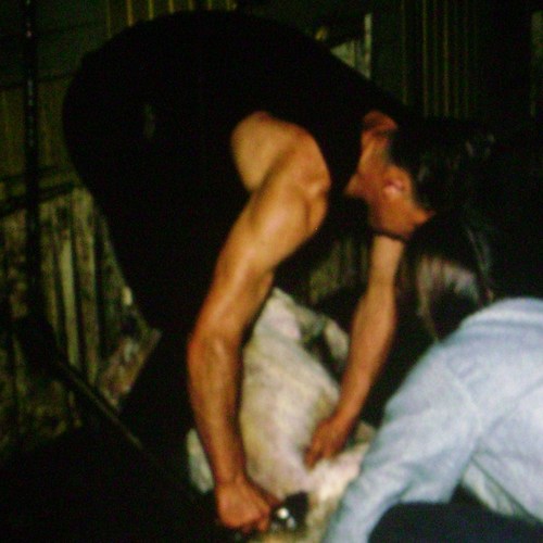 TimlexeW's profile picture. Semi retired shearer/farmer with a adventure bike and kayak.