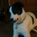 Michelle DeMoss - @HONEYCAKES2010 - Twitter