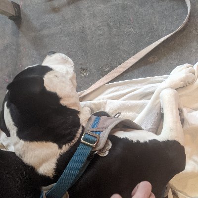 TheGinjeNinja's profile picture. Accountant by day, ninja by night. Malcontent dissident. #EBFG #Neurodivergent