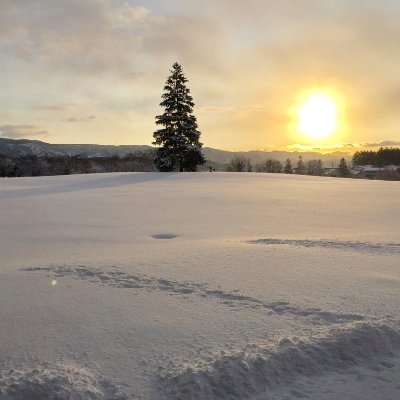koh_naga's profile picture. 雪の中から生えてきたエンジニアの端くれです。 バグ踏みと作り込みには自信あります @3shake_inc