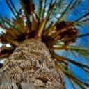 Allison Evan - @AllisonEvan6 - Twitter