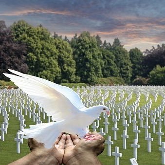 HighsensitiveC's profile picture. 