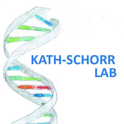 Professor @UniCologne
Organic Chemistry, Chemical Biology, Nucleic Acids