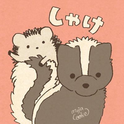 しゃけさんのプロフィール画像