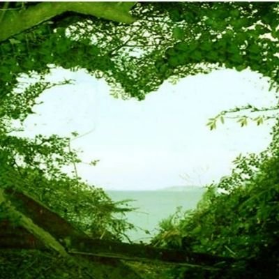 serenabenitez96's profile picture. 