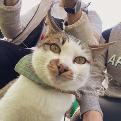 Kaze_0323's profile picture. 台湾の音ゲーマ／KING of Performai maimai 海外版 ファイナリスト 4th準優勝、5th優勝 / MR所属／舞神舞舞舞