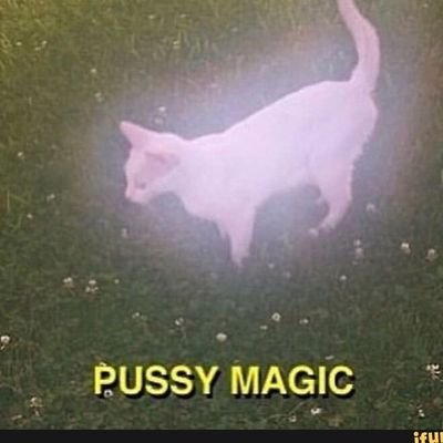 22// FTM Trans (misgender=blocked)// into piss and more // No Minors
