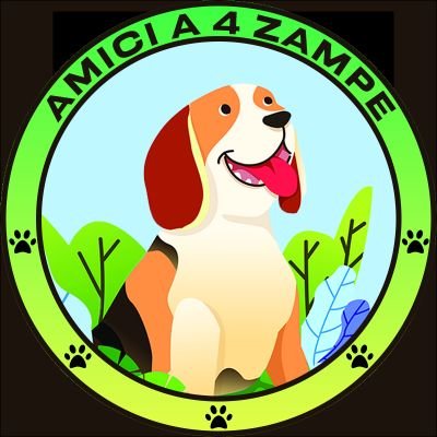 Tutto per i nostri Amici a 4 zampe 🐾🐾🐕🐶