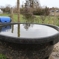 Drinking Troughs (@drinkingtroughs) 's Twitter Profile