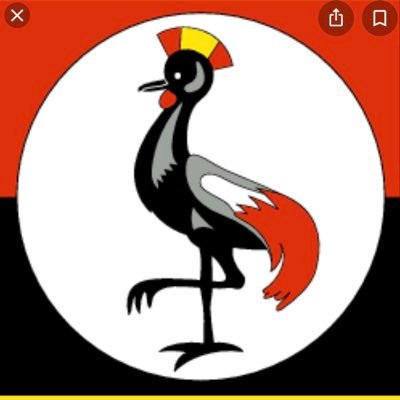 museveninch's profile picture. IT Guru, Tech enthusiastic and loves everything Tech. and Open-Minded Current News Opinion Shaper