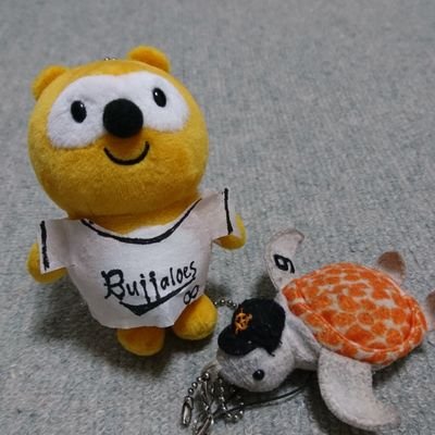 saguazyusu's profile picture. 熱血G党⚾オレンジの血が流れる 特に亀井コーチ/丸/戸郷/重信/岸田/横川/赤星  マリサポ歴23年め⚽  相撲キセノン二所ノ関親方 ポンタとパッチョファン 4外国語勉強中　2002年⚽Ｗ杯JAWOC横浜ボラ RWC2019🏈Team-Noside横浜  TOKYO2020🏅 FieldCast