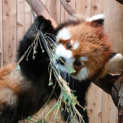 miyuki1121k's profile picture. 2人の子を持つ会社員ママです。日本株は主に高配当+優待株を購入し、NISAもしてます。米国ETFは、VYMも少し持っています。基本的にはバイアンドホールド。株主優待やふるさと納税で生活費浮かせます。 年間120万円の配当金が目標。アニメ、漫画、ゲームも好きです。