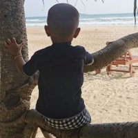 Sonny's Towing (@sonnysubra) 's Twitter Profile Photo