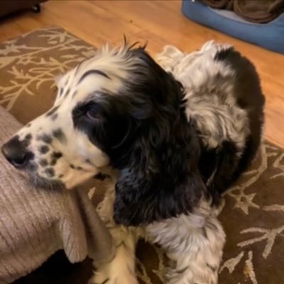 paulillielil's profile picture. Loughborough Based 🏳️‍🌈