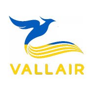 Vallair(@vallairaero) 's Twitter Profileg