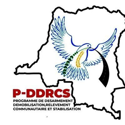 PROGRAMME DÉSARMEMENT DÉMOBILISATION, RELÈVEMENT COMMUNAUTAIRE ET STABILISATION