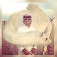 محمد ندا ساري (@mohd_n_sari) Twitter profile photo
