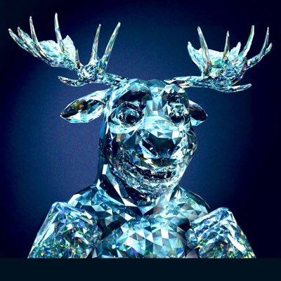 FiadeiroM's profile picture. 