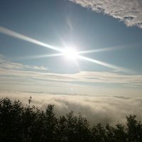 Makiko@料理&音楽&物撮り (@makiko_runram86) 's Twitter Profile Photo