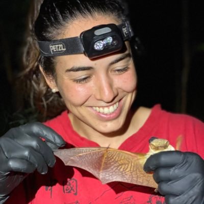 Bat biologist & @imperialcollege President’s PhD scholar @NHM_London 🦇 🌳 🧬 | 🇵🇪 Ambassador @globalsouthbats | student rep @GlobalBatNet