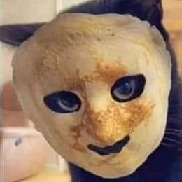 followbot3001's profile picture. kitty luvs pancakes