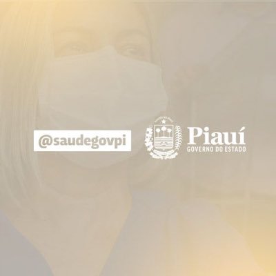 Perfil oficial da Secretaria de Estado da Saúde do Piauí