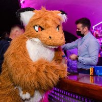 Poliou (@polioufur) 's Twitter Profile Photo Poliou (@polioufur) 's Twitter Profile Photo