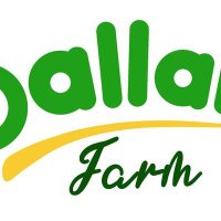 DallanFarm(@DallanFarm) 's Twitter Profile Photo