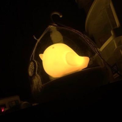 .--- . .さんのプロフィール画像
