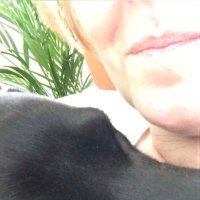 Debbie Holden (@debburgess01) 's Twitter Profile